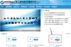 成都人才网档案查询,揭秘人才库中的职业精英