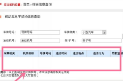 网上查车辆违章记录,轻松掌握车辆违章记录