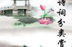古诗词赏析,古诗词赏析的艺术魅力与情感内涵