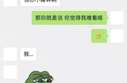 单身聊天,一场轻松愉快的聊天之旅