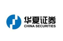 华夏证券,引领金融创新，助力经济腾飞