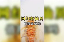 娱乐吃瓜咖啡,跨界融合，打造休闲新风尚