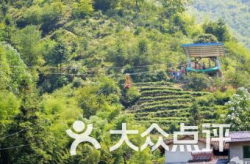 松阳娱乐,揭秘中国乡村文化新风尚