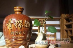青稞酒代理,成为代理，开启财富之门